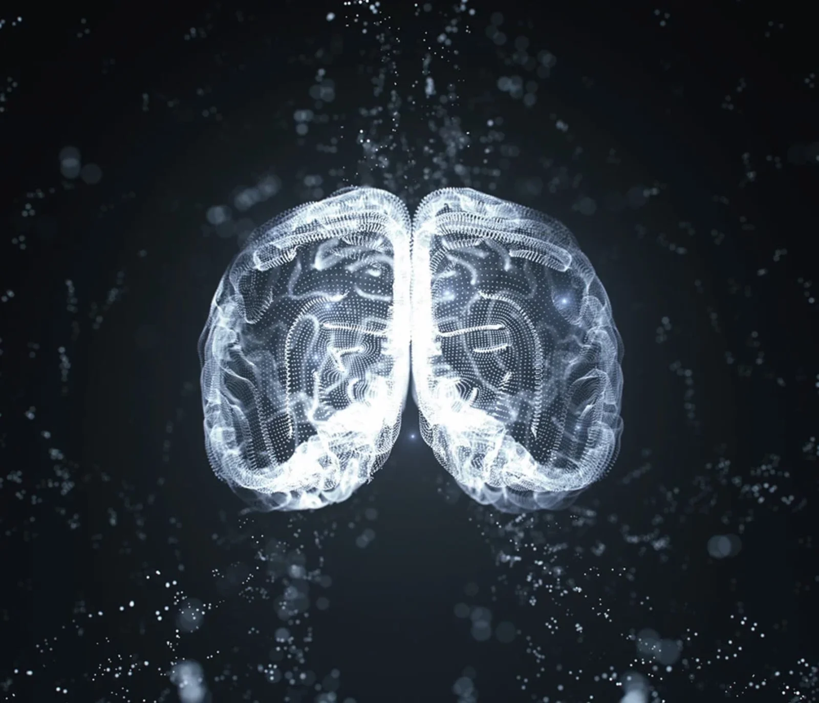 AI-Data-Vibes-In-Modern-Web-Design